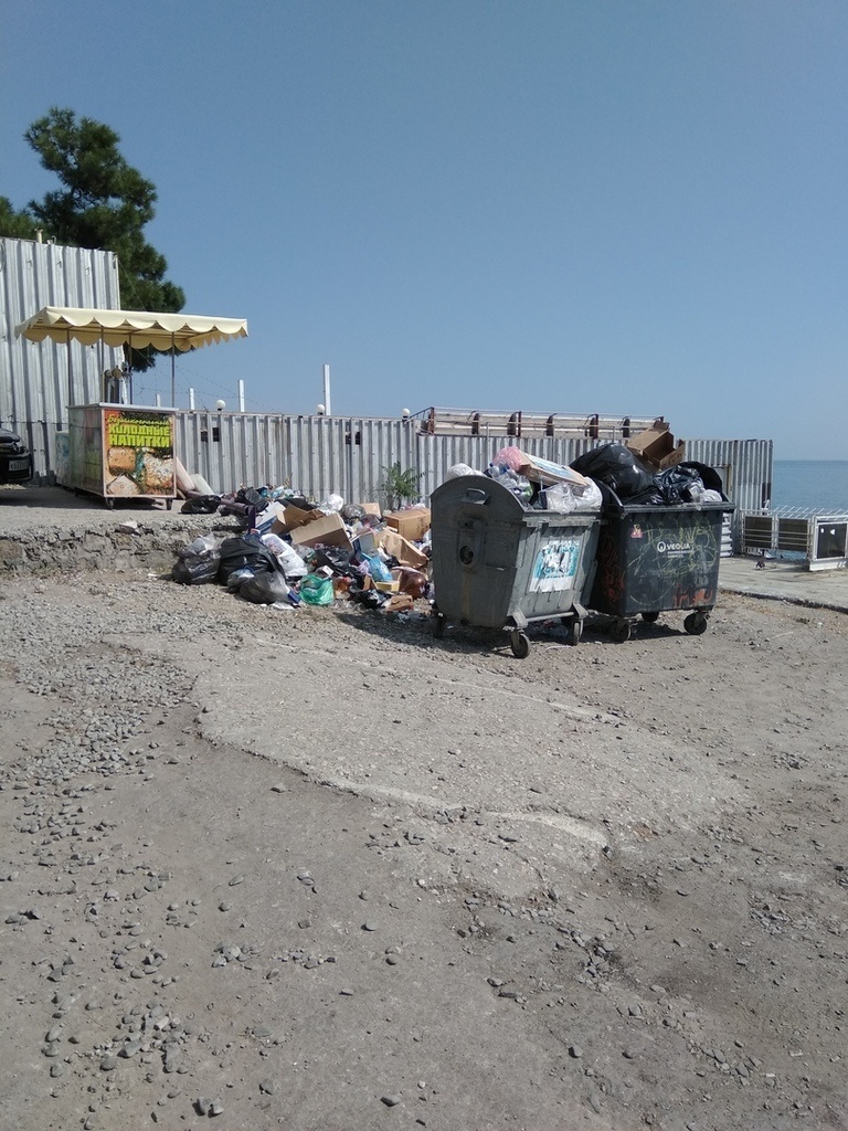  Политика оккупантов превратила Крым в настоящую свалку: в сети опубликованы шокирующие фото местных жителей 