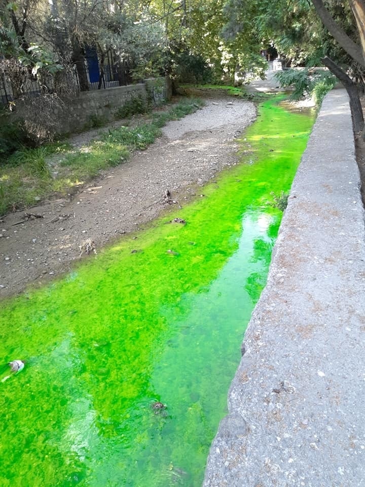 В Крыму новое экологическое бедствие: жители Ялты бьют тревогу из-за позеленевшей воды в реке, опубликованы фото В Крыму новое экологическое бедствие: жители Ялты бьют тревогу из-за позеленевшей воды в реке, опубликованы фото