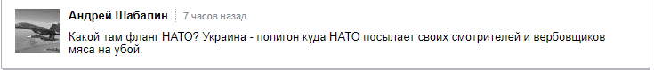 «Нужно ударить и к черту разбить!»: россияне в ярости от заявления Порошенко о НАТО