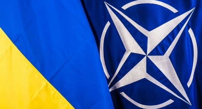 В НАТО в очередной раз отреагировали на намерение Украины изменить Конституцию