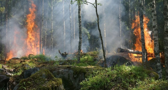 Чрезвычайный уровень пожарной опасности объявлен в Чернобыльской зоне