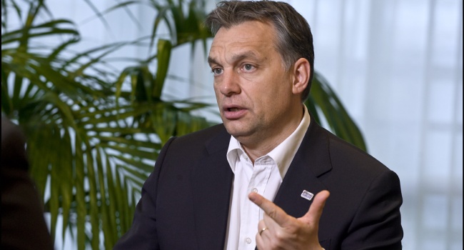 Эксперт прокомментировал заявление Орбана о газопроводе в Венгрии