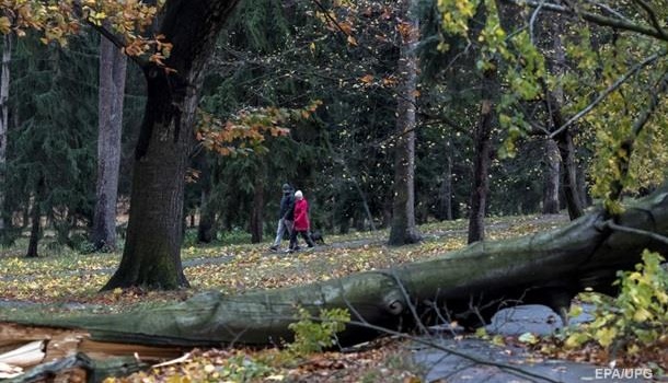 Сильный шторм в Чехии: 140 тысяч домов обесточены 