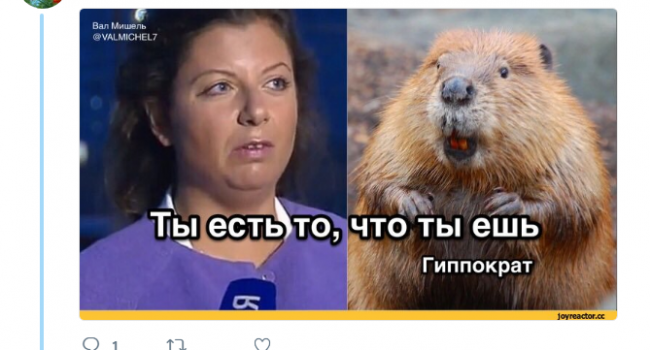 «Вот это тупость!»: пропагандистка Симоньян стала объектом насмешек в сети «Вот это тупость!»: пропагандистка Симоньян стала объектом насмешек в сети
