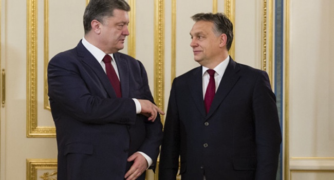 Юрий Романенко объяснил, откуда у Венгрии столько храбрости вести наступательную политику против Украины
