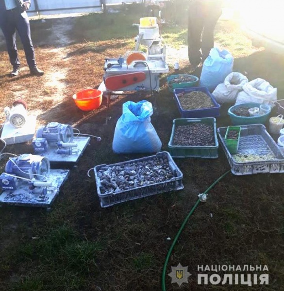 Полиция разоблачила подпольный цех по обработке янтаря в Ровенской области