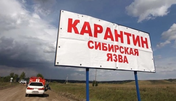 «В Киеве нет риска заражения сибирской язвой», - Госпродпотребслужба «В Киеве нет риска заражения сибирской язвой», - Госпродпотребслужба