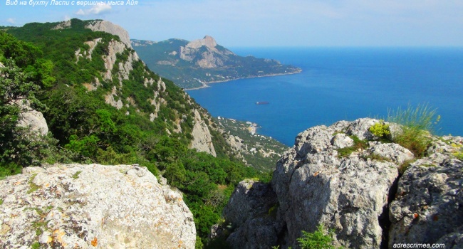 В Крыму новая экологическая проблема: эксперты забили тревогу В Крыму новая экологическая проблема: эксперты забили тревогу