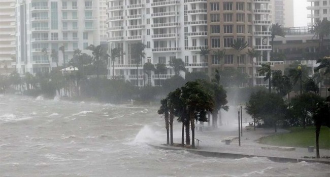 Ураган «Майкл» добрался до Флориды, - видео