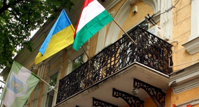 «Венгрия для них враг»: глава венгров Закарпатья пожаловался на Украину в Европарламенте «Венгрия для них враг»: глава венгров Закарпатья пожаловался на Украину в Европарламенте