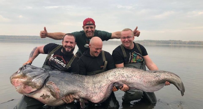 Польский рыбак поймал самого большого в истории сома