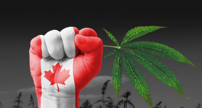 В Канаде начался жуткий ажиотаж из-за легализации канабиса