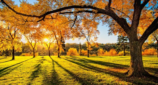  ������� ���������� ����� ������� ������������� ������������� �������� 