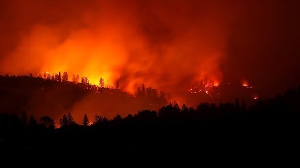 Лесные пожары в Калифорнии: без вести пропало более 1000 человек