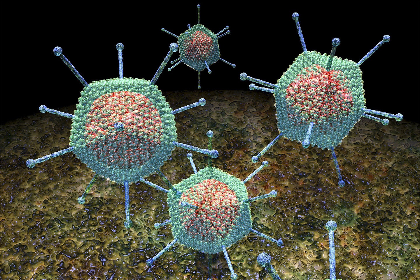 Грипп аденовирус. Вирус аденовирус. Аденовирус икосаэдр. Аденовирус под микроскопом. Аденовирус вирус гриппа.