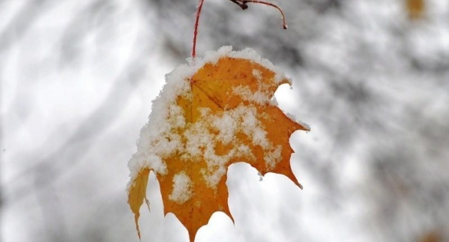 14 ноября в Украине выпадет первый снег