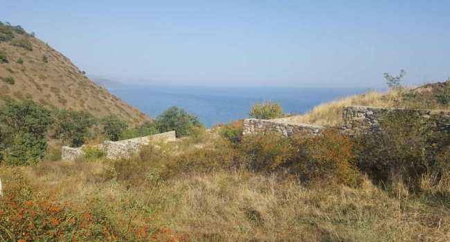 В Крыму раскрыли земельные махинации «Меджлиса»
