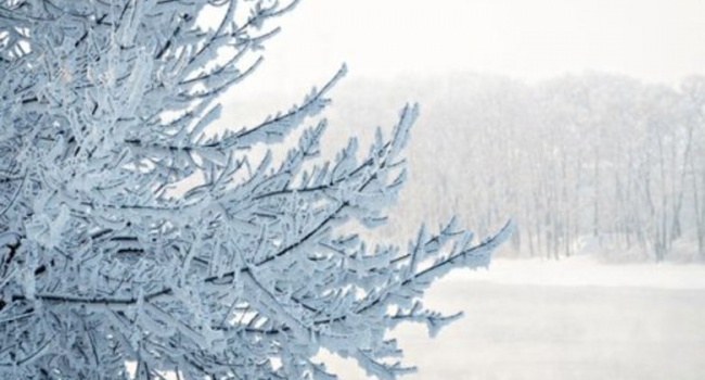  «Аномальное отклонение от нормы»: синоптики рассказали, какой будет погода в Украине зимой