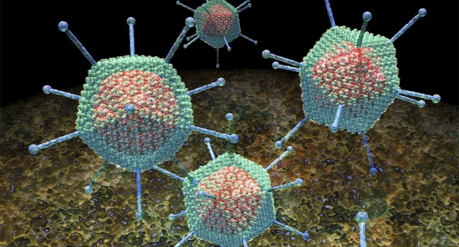 В США обнаружили гигантские новые вирусы