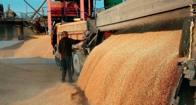 Украинские производители продолжают наращивать аграрный экспорт Украинские производители продолжают наращивать аграрный экспорт