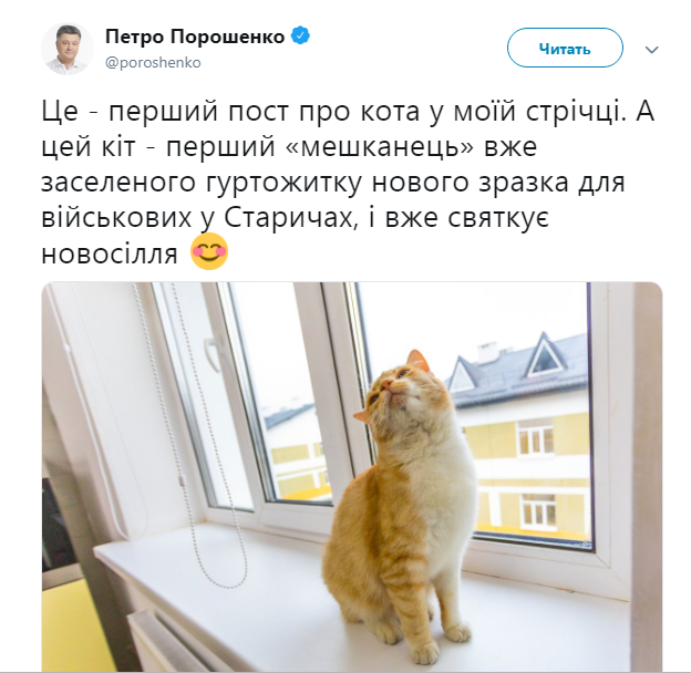 «С козырей зашли, Петр Алексеевич?» Порошенко сделал свой первый пост про кота в соцсети «С козырей зашли, Петр Алексеевич?» Порошенко сделал свой первый пост про кота в соцсети