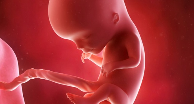 Ученые выяснили причины шевеления плода в утробе матери