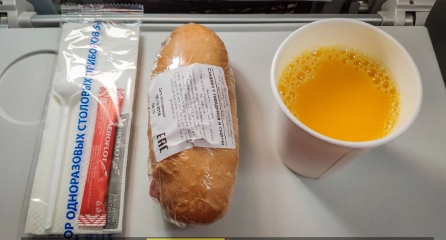 Блогер показал, чем кормят пассажиров рейса Москва-Симферополь