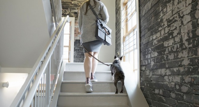 Подъём по лестнице может многое рассказать о вашем здоровье