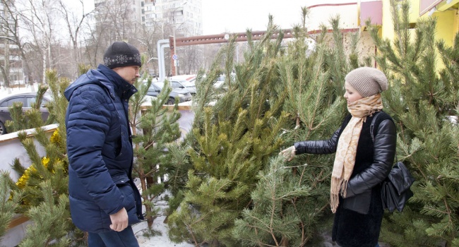 В Украине никто не будет регулировать цены на новогодние елки В Украине никто не будет регулировать цены на новогодние елки
