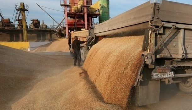 Аграрный фонд сообщил о пропаже зерна на 20 миллионов гривен