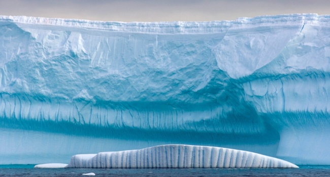  «Последствия будут разрушительными»: учёные заявили о стремительном таянии крупнейшего ледника Антарктиды