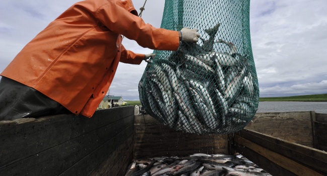 Эксперты о рыболовстве в Украине: существует угроза потери части акватории моря