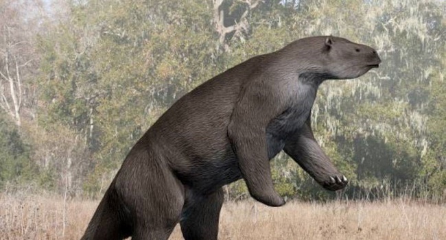 В Аргентине нашли останки древнего ленивца