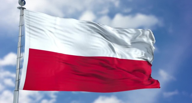82% из всех разрешений на работу Польша выдала украинцам
