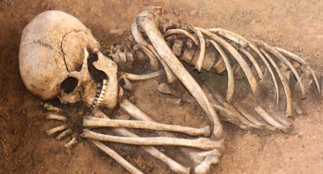 На территории частного дома в Одессе нашли цистерну с человеческими скелетами 