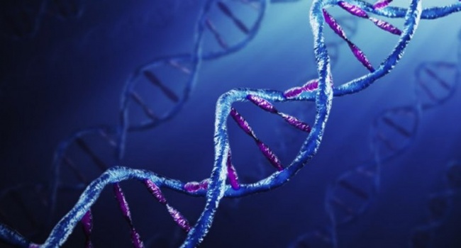 Раскрыта тайна ДНК, которая сможет помочь в лечении рака