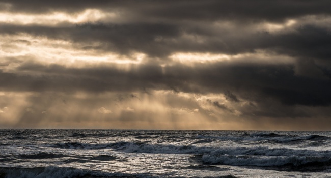  �������� ���� ����������� ���� ������������� ��������� 