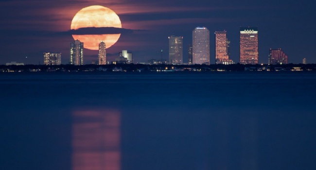 ����: replyua.net