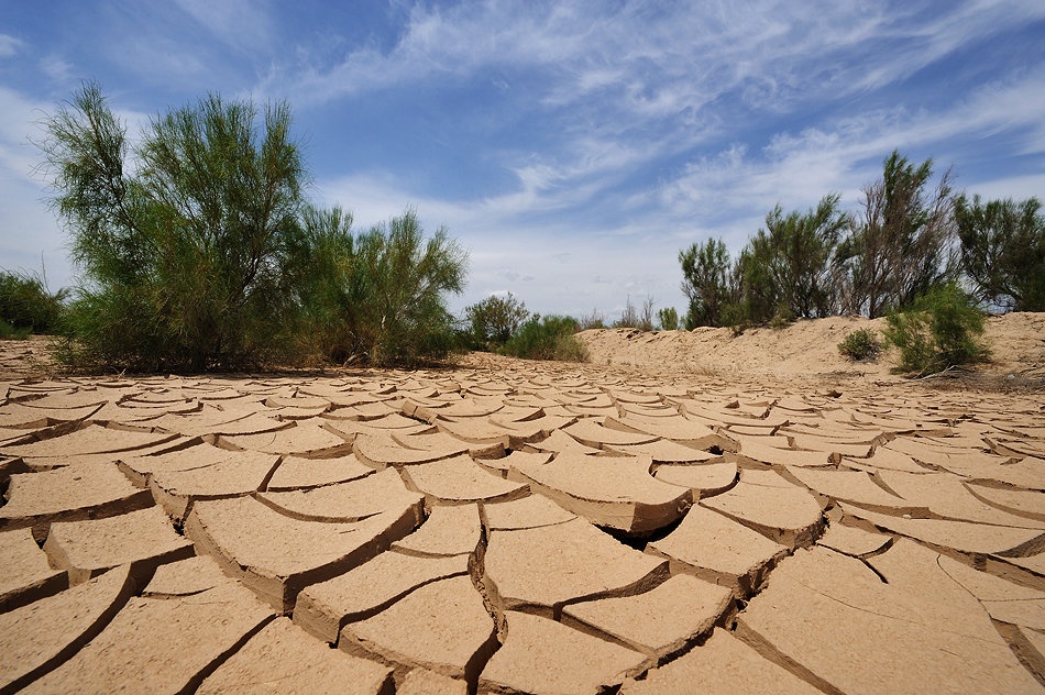 Неживая природа в пустыне. Опустынивание. Засуха. Засухи и суховеи. Лето засуха.
