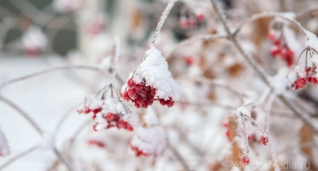 Мороз будет крепчать: синоптики рассказали о погоде на Рождество