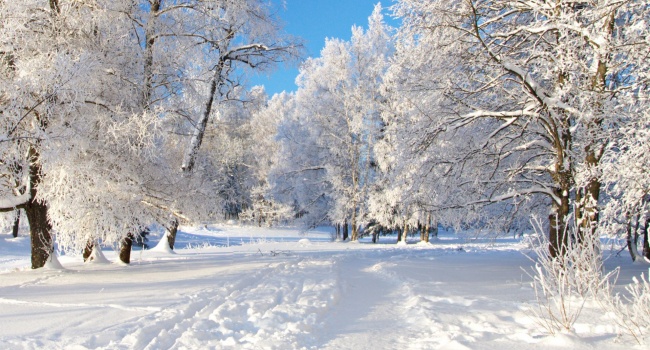 Погода на Рождество: синоптики рассказали о снегопадах