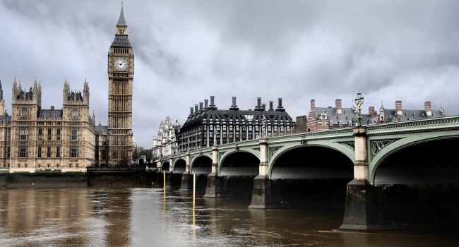 У стен парламента Британии в водах Темзы бьётся рыба из-за кокаина