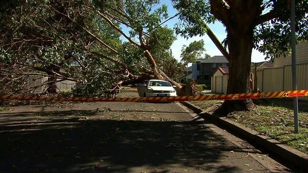 Сидней накрыл мощнейший шторм: без света 40 тысяч домов