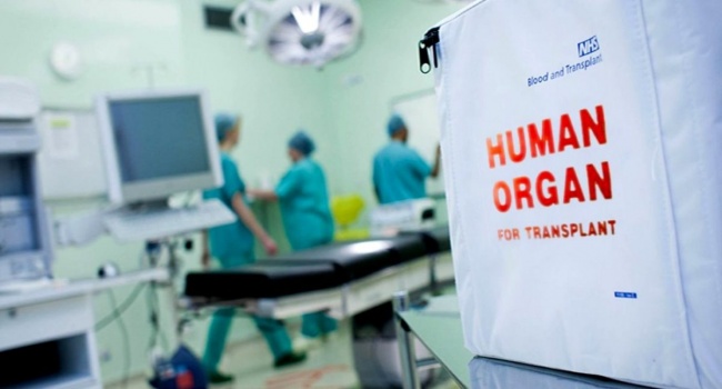 Есть такая профессия: в Украине зарегистрировали транспланта-координатора