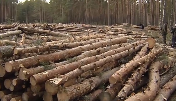  ��� �������� ���������� ���������� ������� ���� ������� 