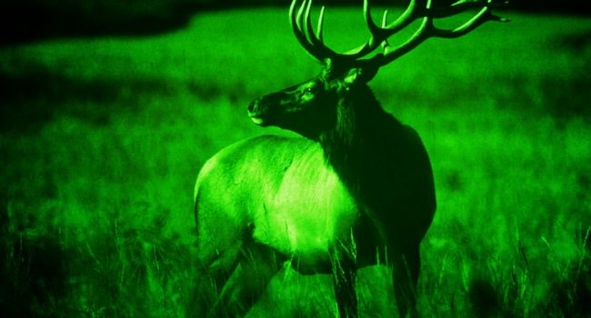 Чтобы хорошо видеть в темноте, нужно закапать глаза специальными каплями Чтобы хорошо видеть в темноте, нужно закапать глаза специальными каплями