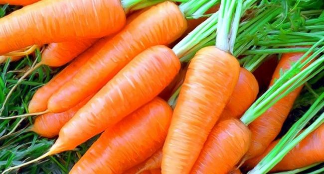 Некоторые факты о пользе моркови