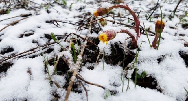 Весна придет не быстро: синоптик рассказал о предстоящих заморозках и мокром снеге