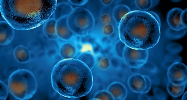 Японским ученым удалось добиться серьезного прогресса в деле создания искусственной клетки