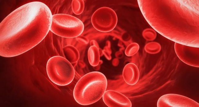 Как повысить уровень гемоглобина